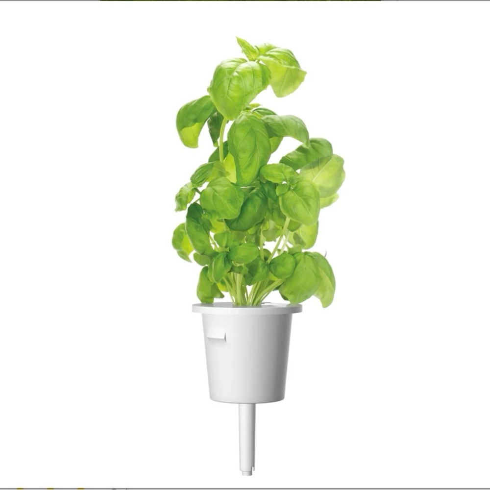 Click & Grow Smart Garden - Picture 4 of 6